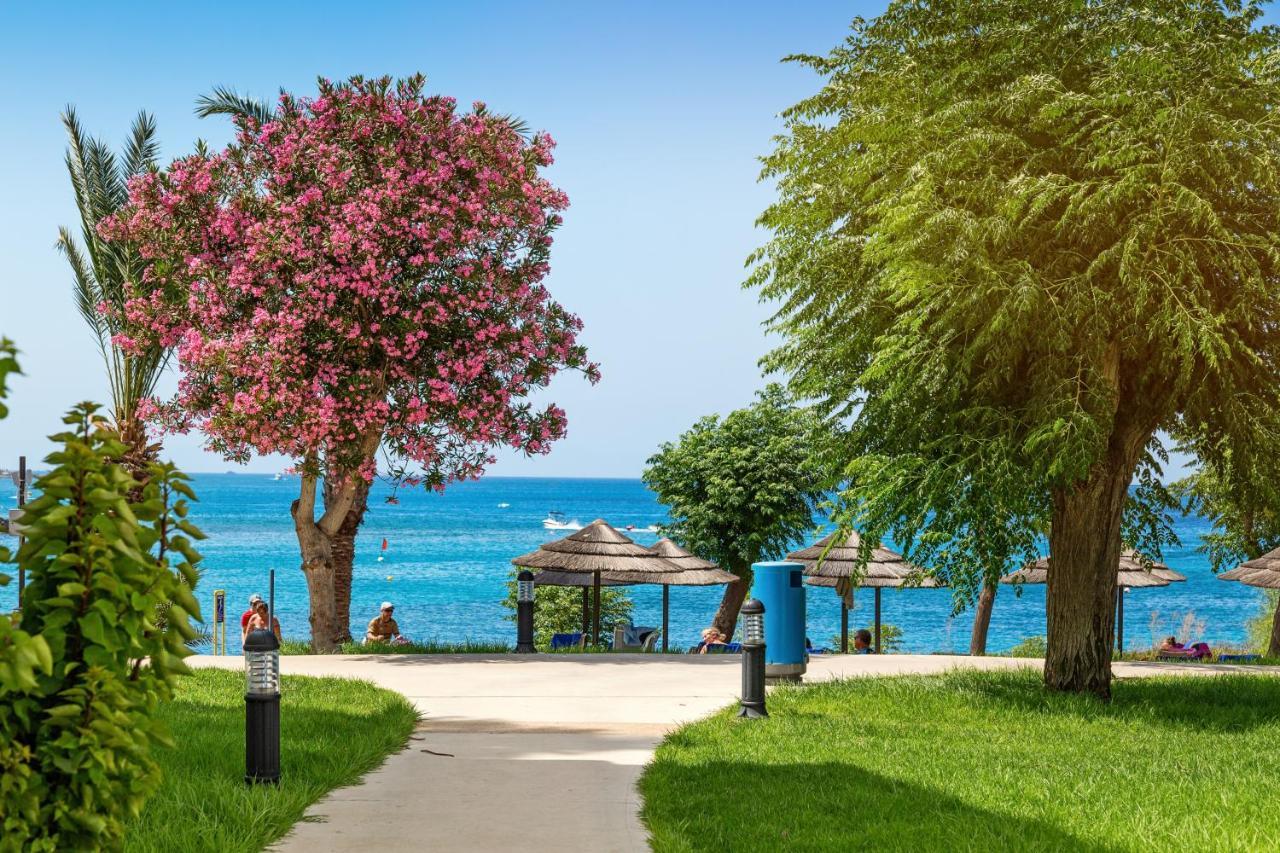 Nausicaa Beach Hotel Протарас Екстериор снимка
